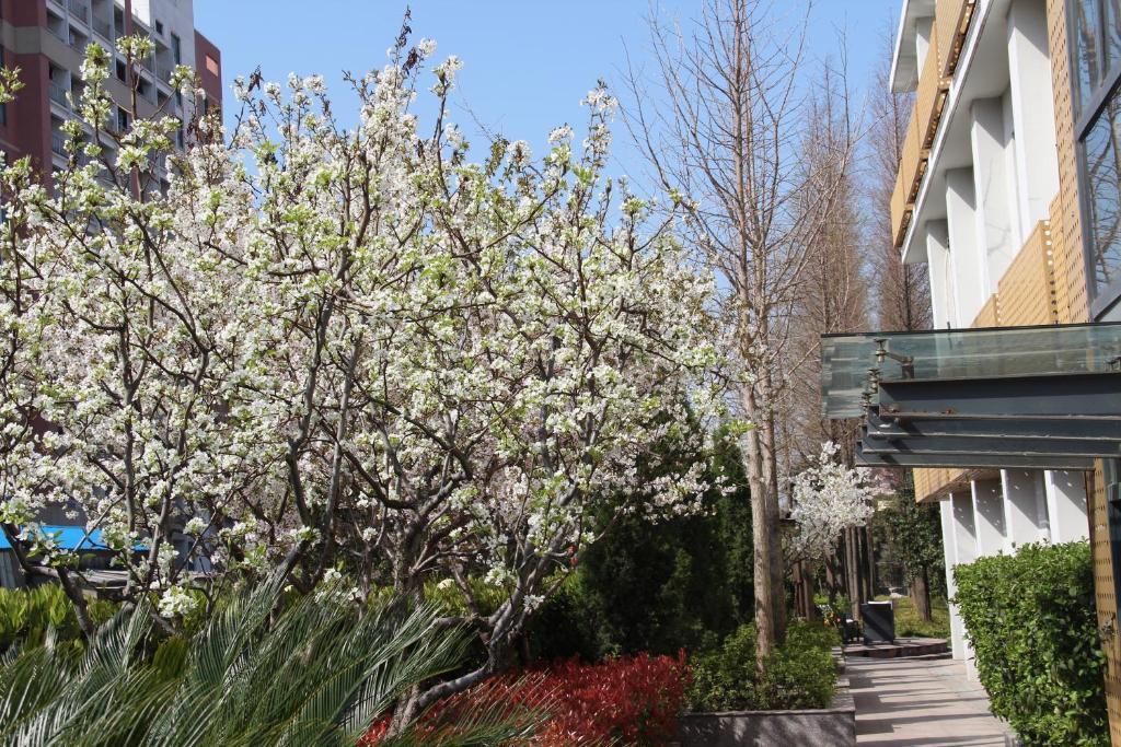 L'Otel Shanghai Exterior foto